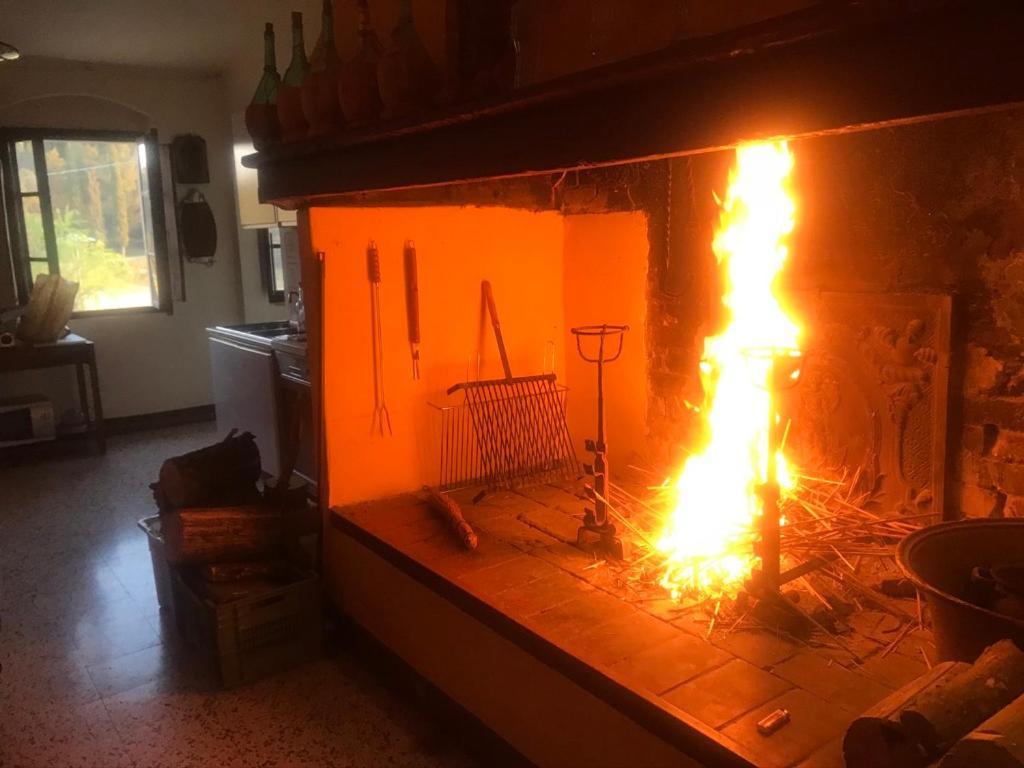 Casa Vacanze Podere Marilla Peccioli Kültér fotó