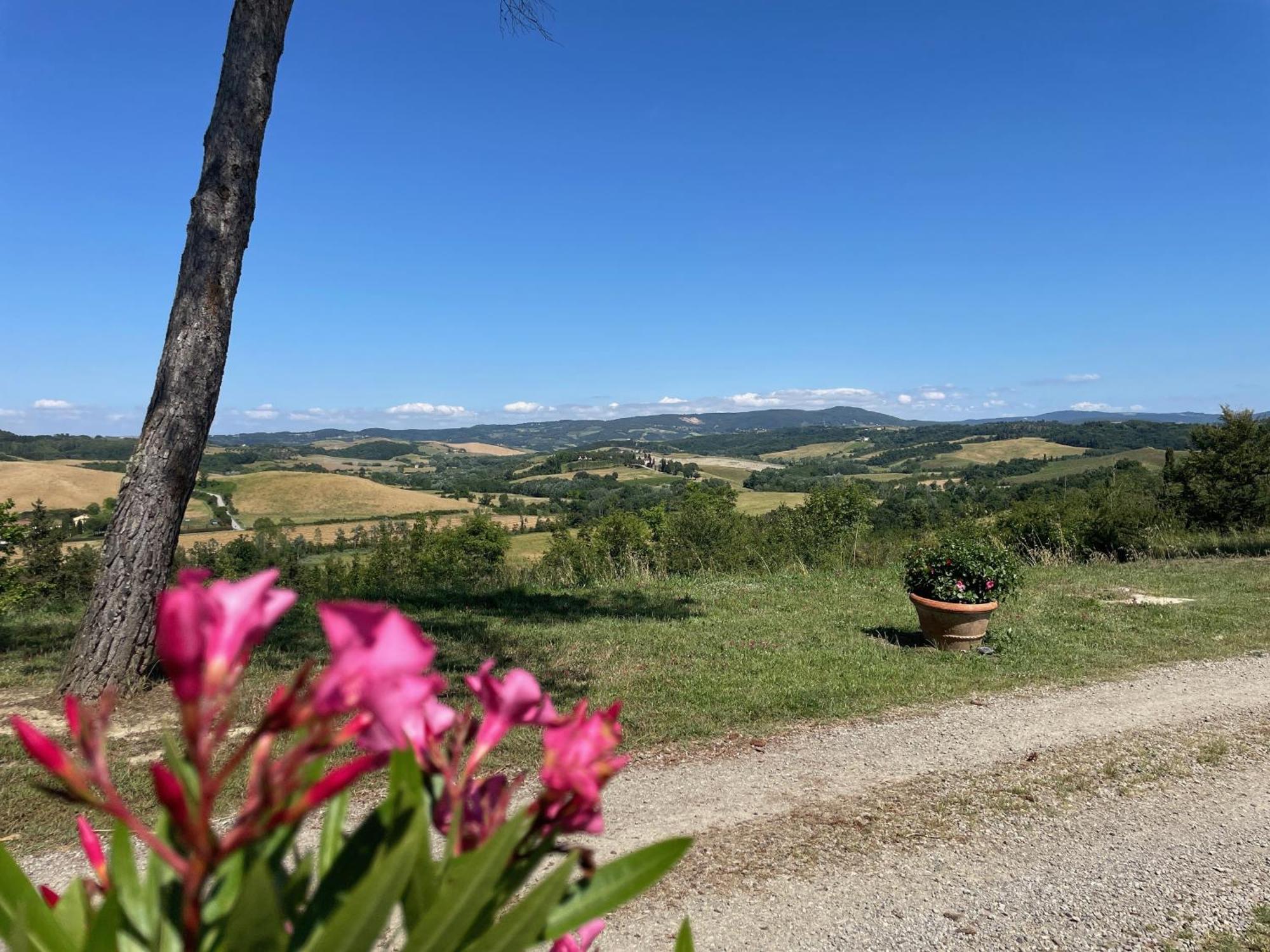 Casa Vacanze Podere Marilla Peccioli Kültér fotó